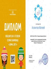 Агапитов Матвей, проект intolimp.org "Русский язык 10 класс"
